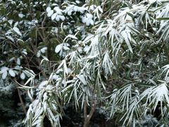 -宁波五龙潭景区