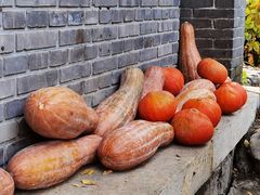 -三忘湖 SWANSEEN(柳荫公园店)