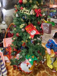 -卡通尼·Safari非洲探索乐园·生日会(金桥国际商业广场店)