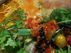 -老凯俚酸汤鱼(鸿通城店)