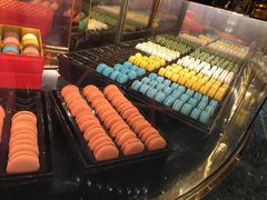 -TWG Tea(台北101购物中心沙龙及精品门市)