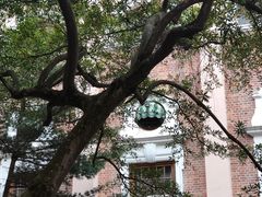 -香港大学