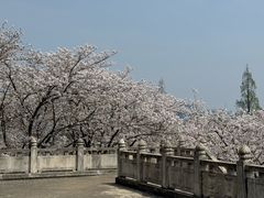 -苏州上方山国家森林公园