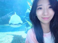 -暹罗海洋世界
