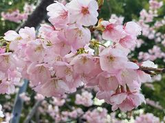 -静安雕塑公园