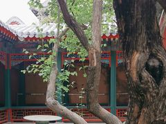 -宫事颐庭·老佛爷贵寿下午茶(颐和园店)