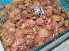 -和源祥·日照菜扛把子(万平口一店)