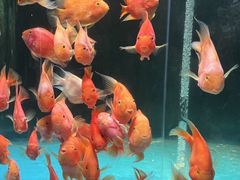 -龙谷湾旅游休闲度假区