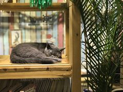 大堂-小时光咖啡馆(开森度假森林店)