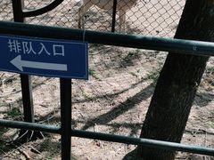 -北京麋鹿生态实验中心