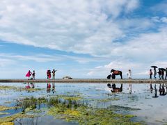 -青海湖国家重点风景名胜区