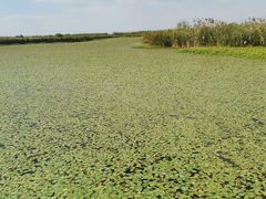 -宁波杭州湾国家湿地公园