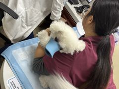-美联众合动物医院·24h转诊中心