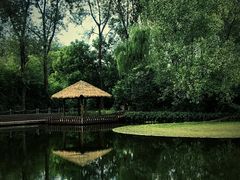 -溱湖国家湿地公园