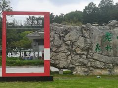 -南京老山国家森林公园