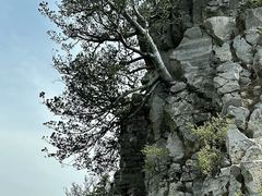 -神农山景区
