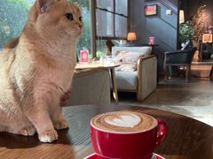 -咖法森林·咖啡  酒吧(天河店)