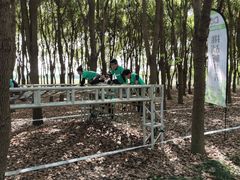 -嘉北郊野公园