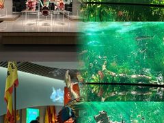 -中国湿地博物馆