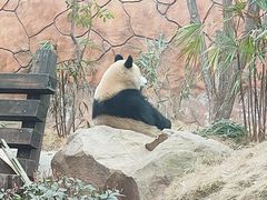 -乐和乐都主题乐园