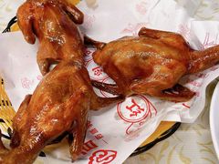 -百利鸽王(紫薇路店)