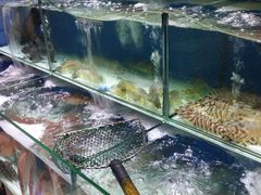 水产区-强记海鲜菜馆(罗湖万象城店)