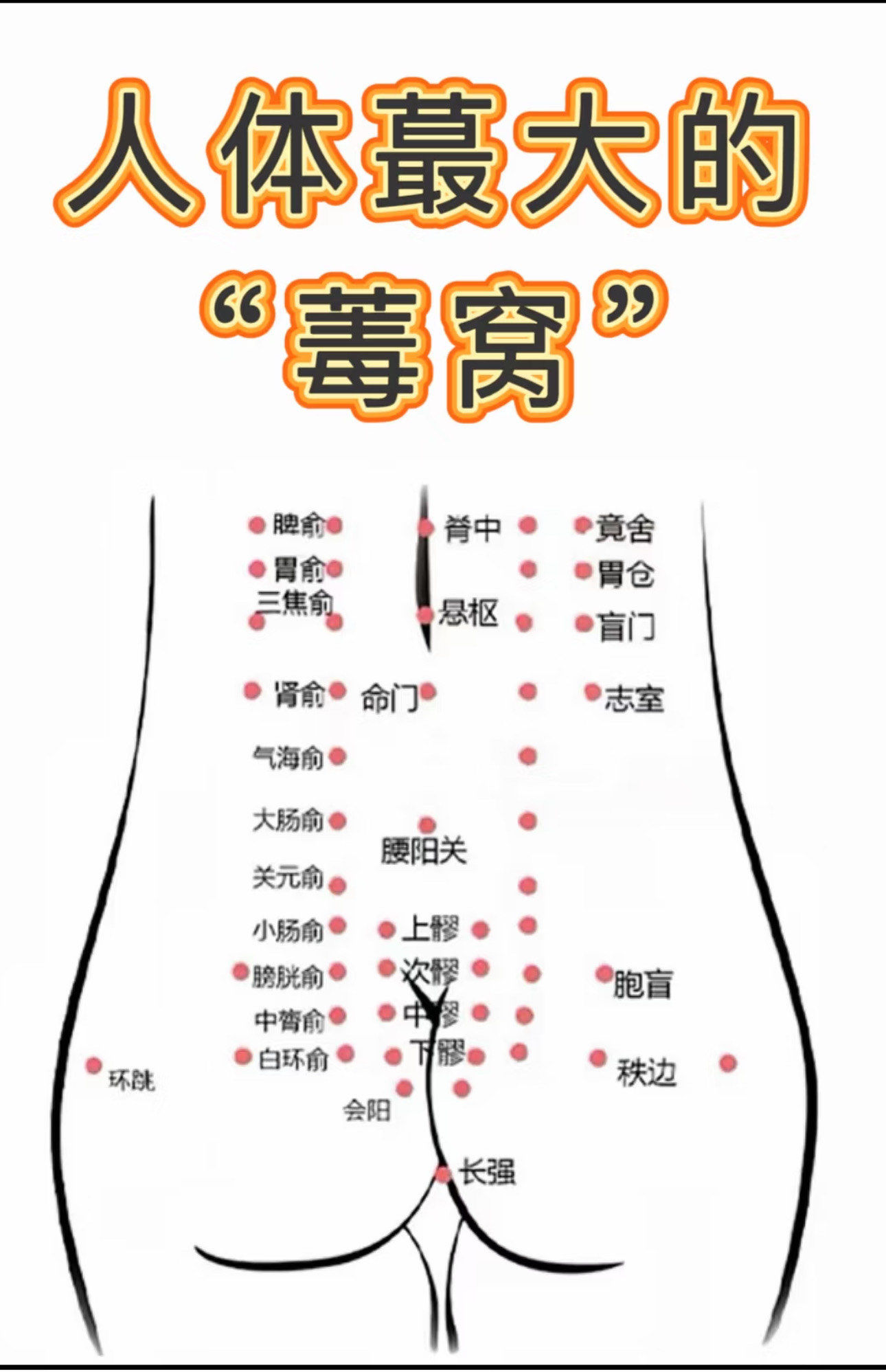因为每个月的例假菁素都会从这里排出