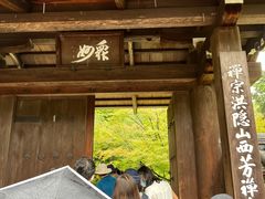 -西芳寺(苔寺)
