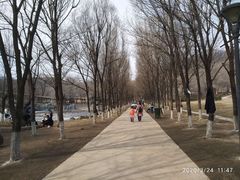 -高尔山公园