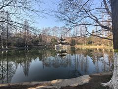 -习家池