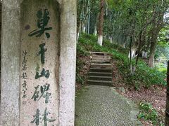 -莫干山风景区