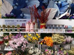 -盒马鲜生(财富中心店)