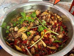 -食神又名厕所兔