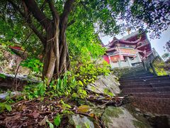 -龙泉洞(沙坪坝区)