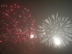 -河北省园博园