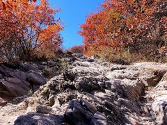 -北京西山国家森林公园