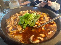 -都江堰石锅鱼