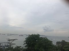 -圣淘沙天际线斜坡滑车