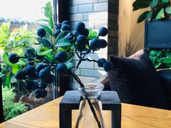 -IFIF 如果花園(宽厚里店)