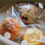 顺德探店🍞目标就是把它家的面包全吃了个遍