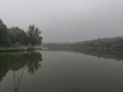 -大兴滨河森林公园