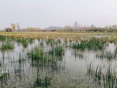 -永定河休闲森林公园