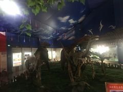 -诸城市恐龙博物馆