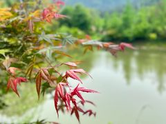 -黄陂区野村谷景区