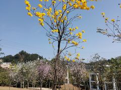 -中国移动南方基地