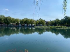 -鹊华居·地道鲁菜·海鲜·融合味(大明湖店)