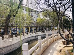 -桃花堤公园