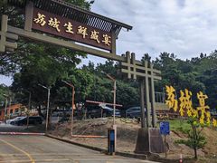 -荔城生鲜盛宴(番禺旗舰店)