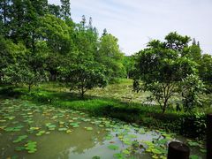 -乌村