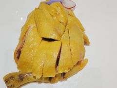 白切竹林鸡-丰收日(五角场店)